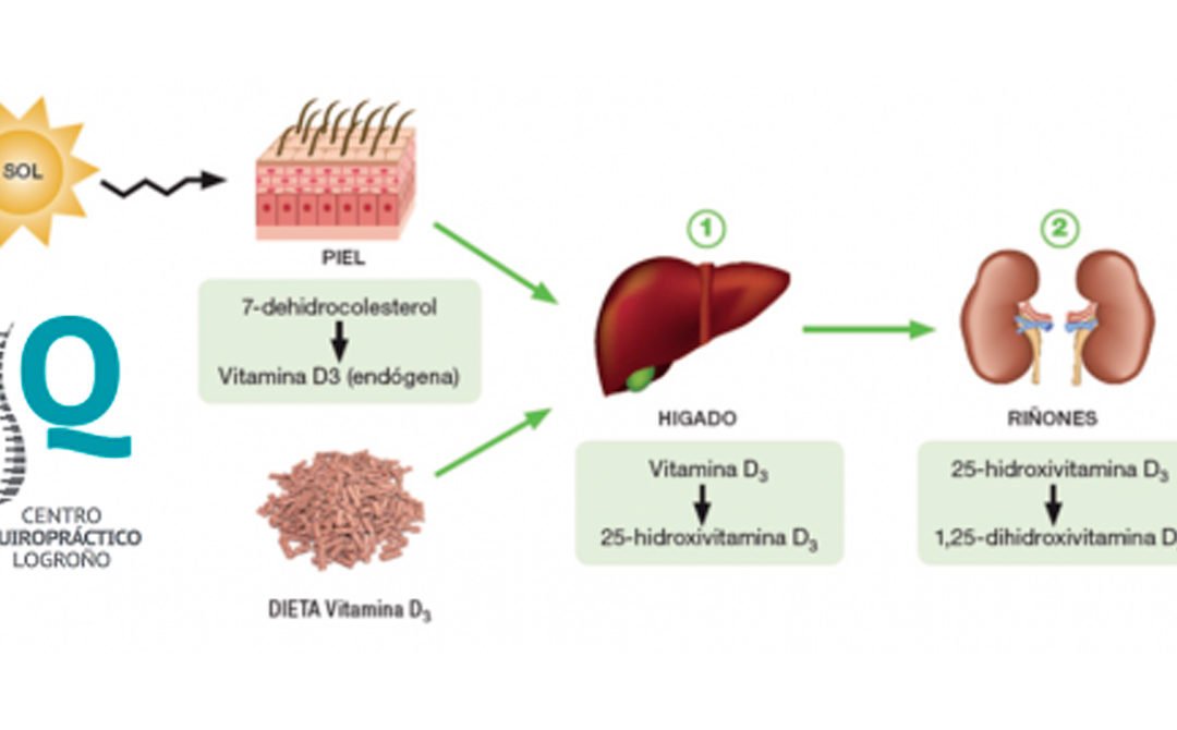 Cómo obtener Vitamina D en invierno